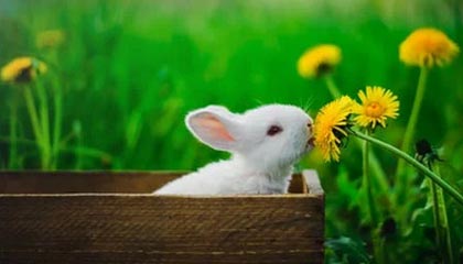 吞噬者恶魔猎手随1月20日午夜预补丁同步上线！